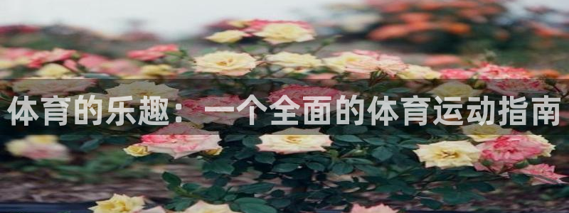 qq体育网：体育的乐趣：一个全面的体育运动指南